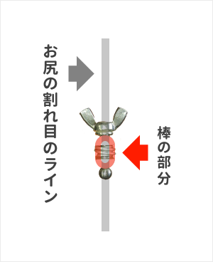 尿道用ブジーを肛門に差し込んでいる時の角度を示した図